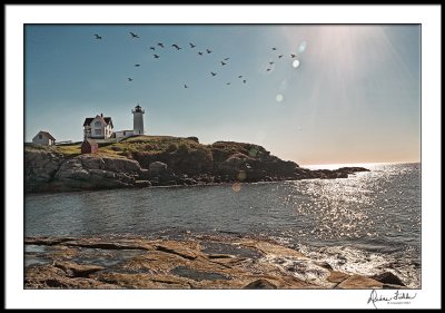 Cape Neddick Early Morn