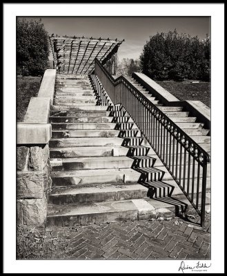 Biltmore Conservatory Steps