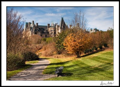Biltmore from gardens