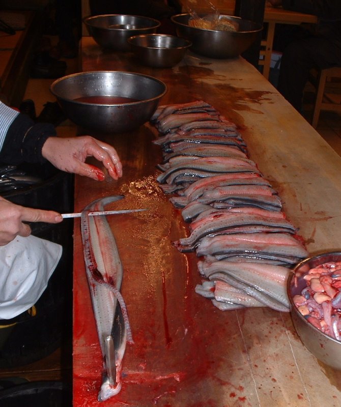 Eel filetting