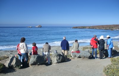 Watching elephent seals, California Coastline