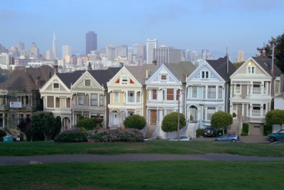 Painted ladies, San Francisco, California