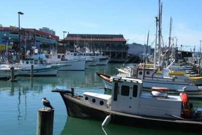 Fishermans Wharf, San Francisco, California