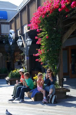 Fishermans Wharf, San Francisco, California