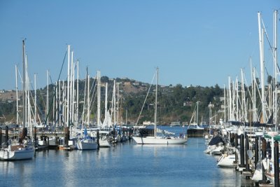 Sausalito harbor, California