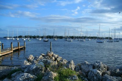 Coconut Grove harbor, Miami Florida