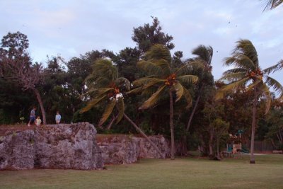 Children playing, Miami Florida