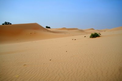 Desert Safari IMG_8354.jpg