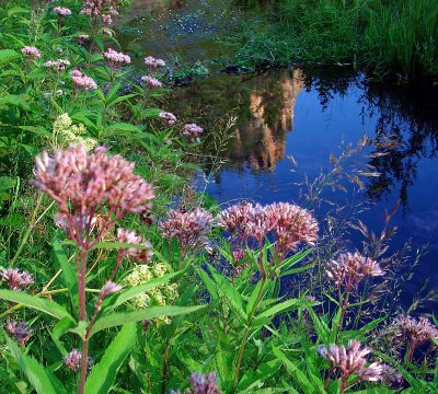 Streamside