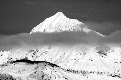 Cernix-IMG_4783.jpg