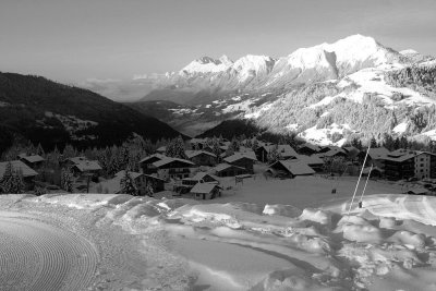 Cernix-IMG_4798.jpg