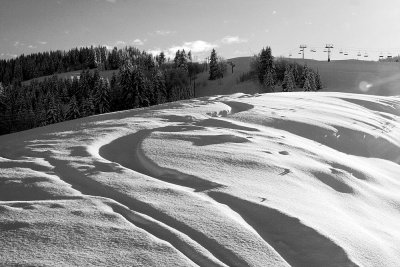 Cernix-IMG_4801.jpg