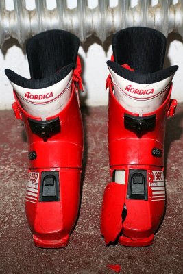 Cernix-IMG_4844.jpg