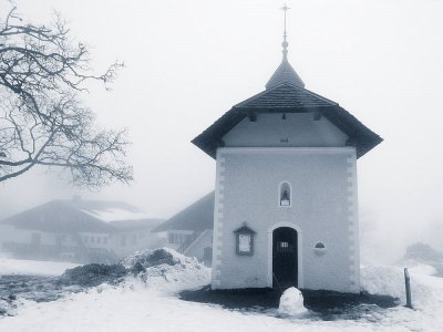 Cernix-R0014744.jpg