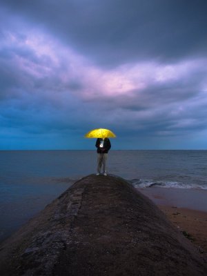 The Yellow Umbrella - Le parapluie jaune