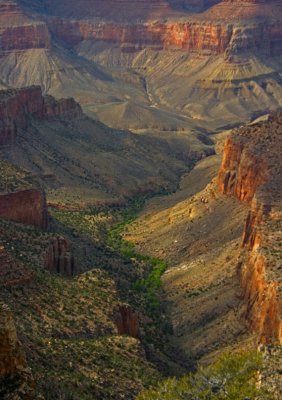 9324 Spring in the Grand Canyon  - #2