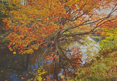 _MG_2139 Colorful Creek