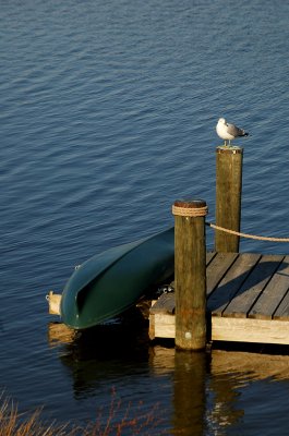 Gull-Dock-Boat