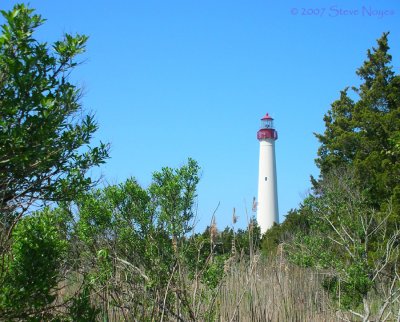 NJ-Cape May Lighthouse
