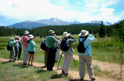 Lower Beaver Meadow