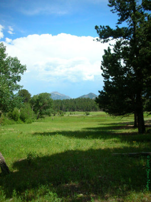 More Beaver Meadows