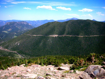 View from Trail Ridge Rd