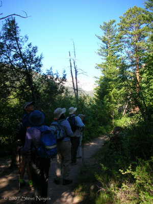 Trail to Fern Lake