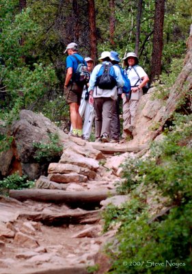 Fern Lake Trail