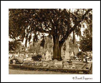 Magnolia Cemetery, Charleston, SC (LE122)