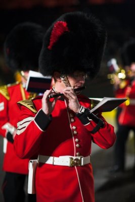 the band of hm coldstream guards