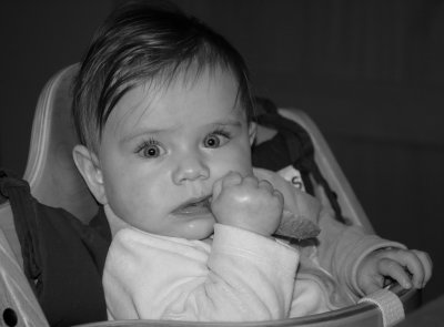 Mila - jan_maa 2007