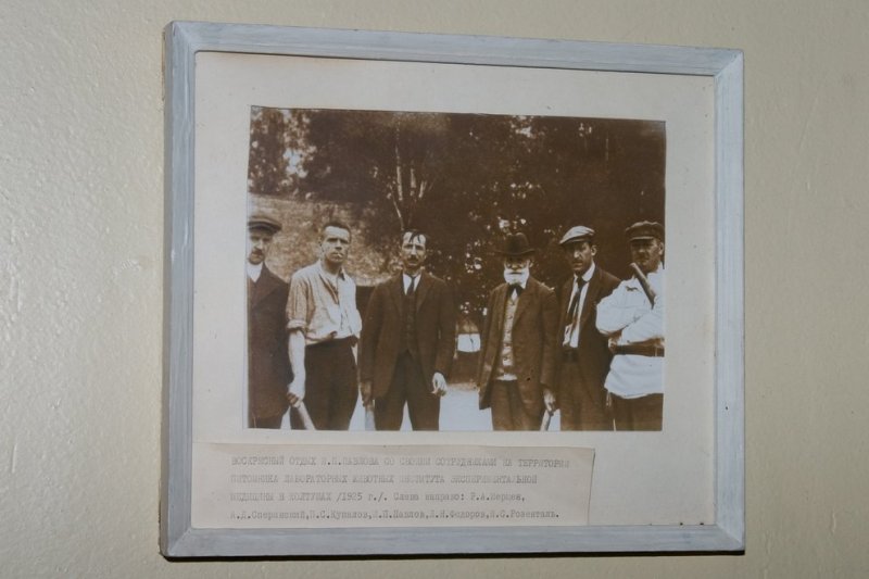 CRW_6630.jpg