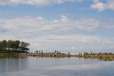 IMG_0994.jpg