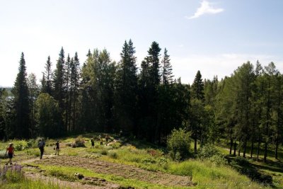 IMG_1013.jpg