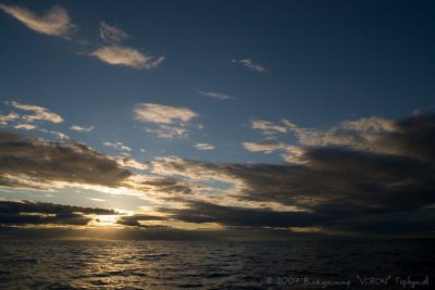IMG_1351.jpg