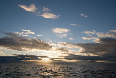 IMG_1353.jpg