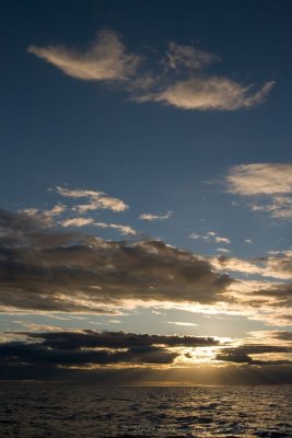 IMG_1357.jpg