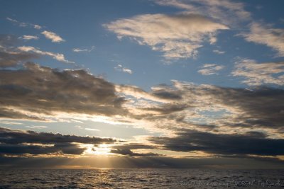 IMG_1365.jpg