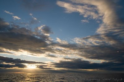 IMG_1368.jpg
