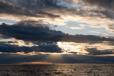 IMG_1375.jpg