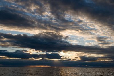 IMG_1378.jpg
