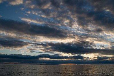 IMG_1384.jpg