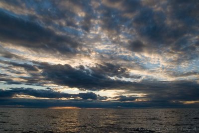 IMG_1390.jpg