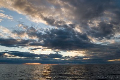 IMG_1402.jpg