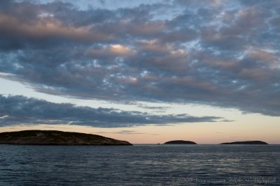 IMG_1409.jpg