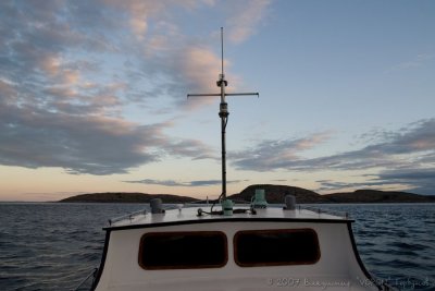 IMG_1410.jpg