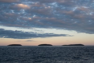 IMG_1412.jpg