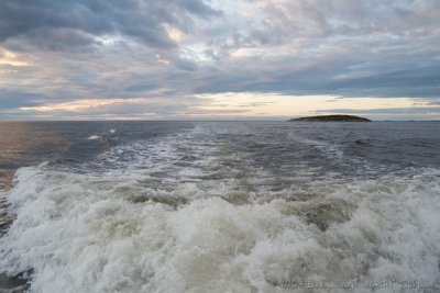 IMG_1418.jpg