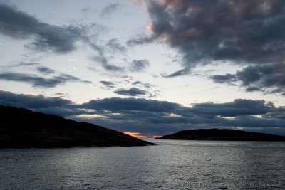 IMG_1424.jpg