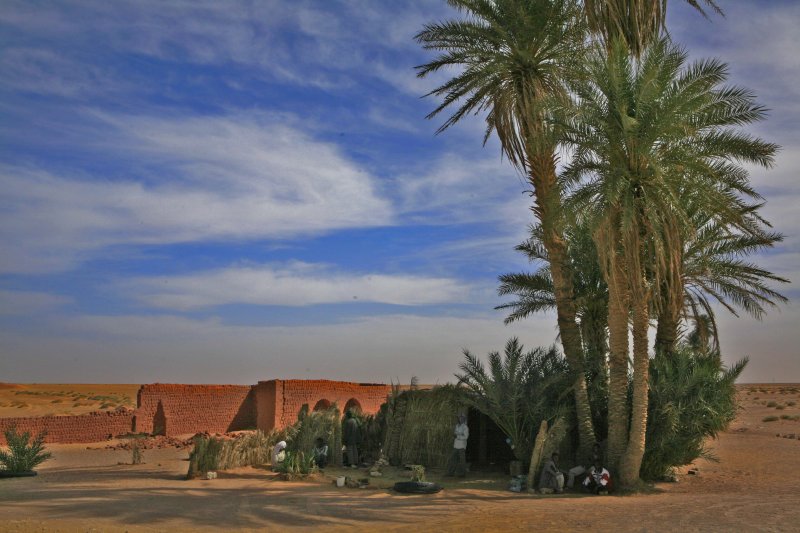 on the way to Timmimoun,a cafe under the palm trees.